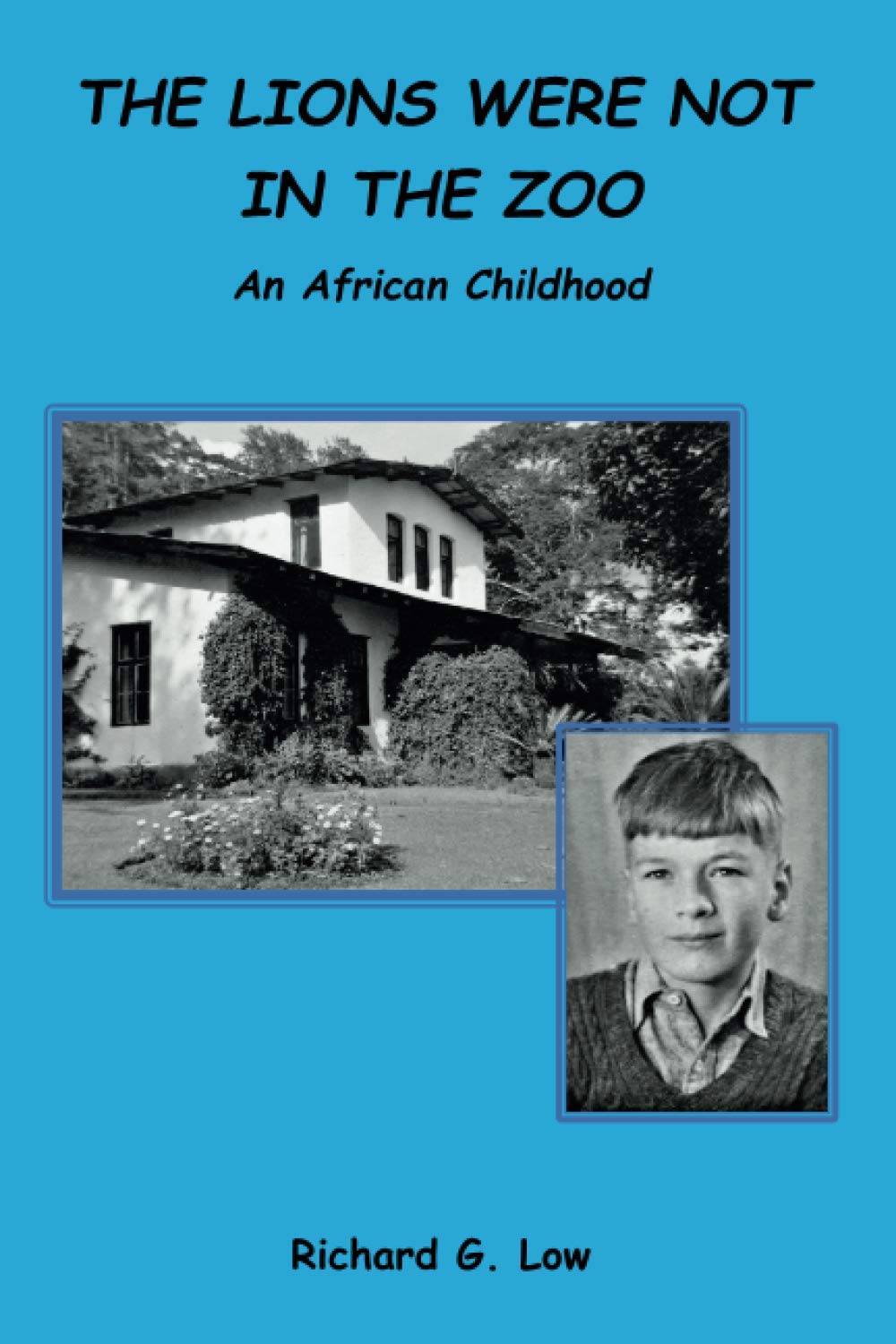 THE LIONS WERE NOT IN THE ZOO: AN AFRICAN CHILDHOOD