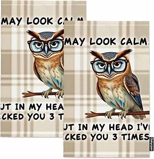 Funny Owl Kitchen Towels Cute Buffalo Plaid I May Look Calm... But in My Head I've Pecked You 3 Times... Soft and Super Absorbent Dish Towels 2 Pack 16 X 24 Inches