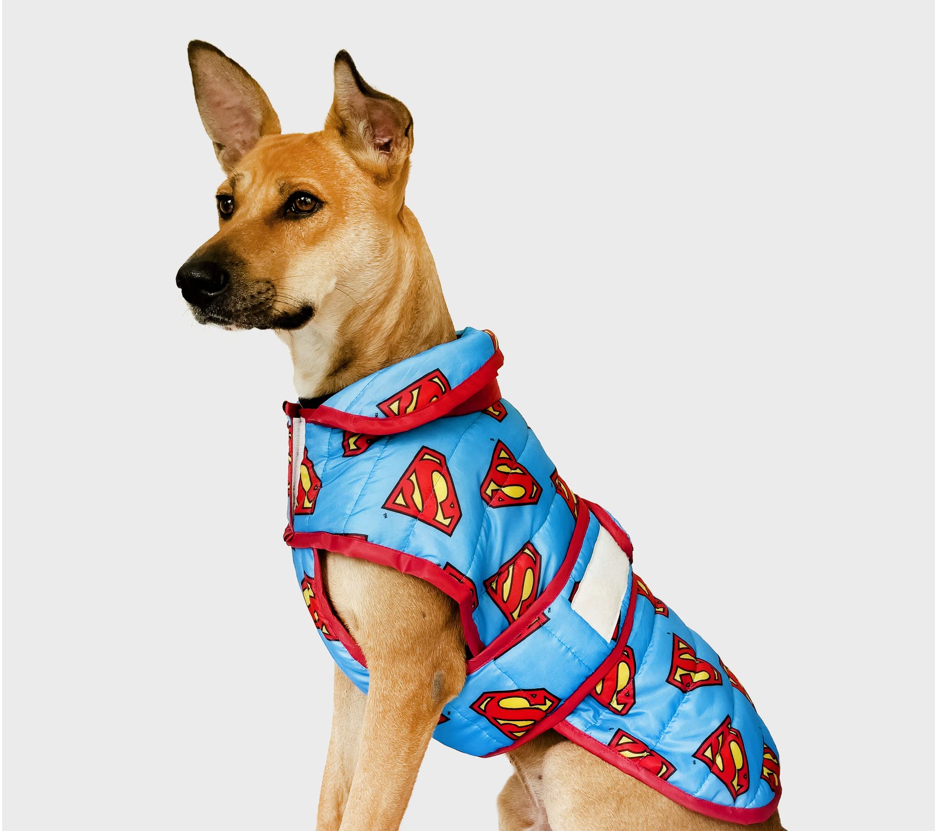 That Dog In Tuxedo Colour Pop Puffer Dog Winter Jacket for Pets/Reversible Dog Jacket - Blue/Orange (26) (B09QJ2H8XC) Amazon Price History, Amazon Price Tracker