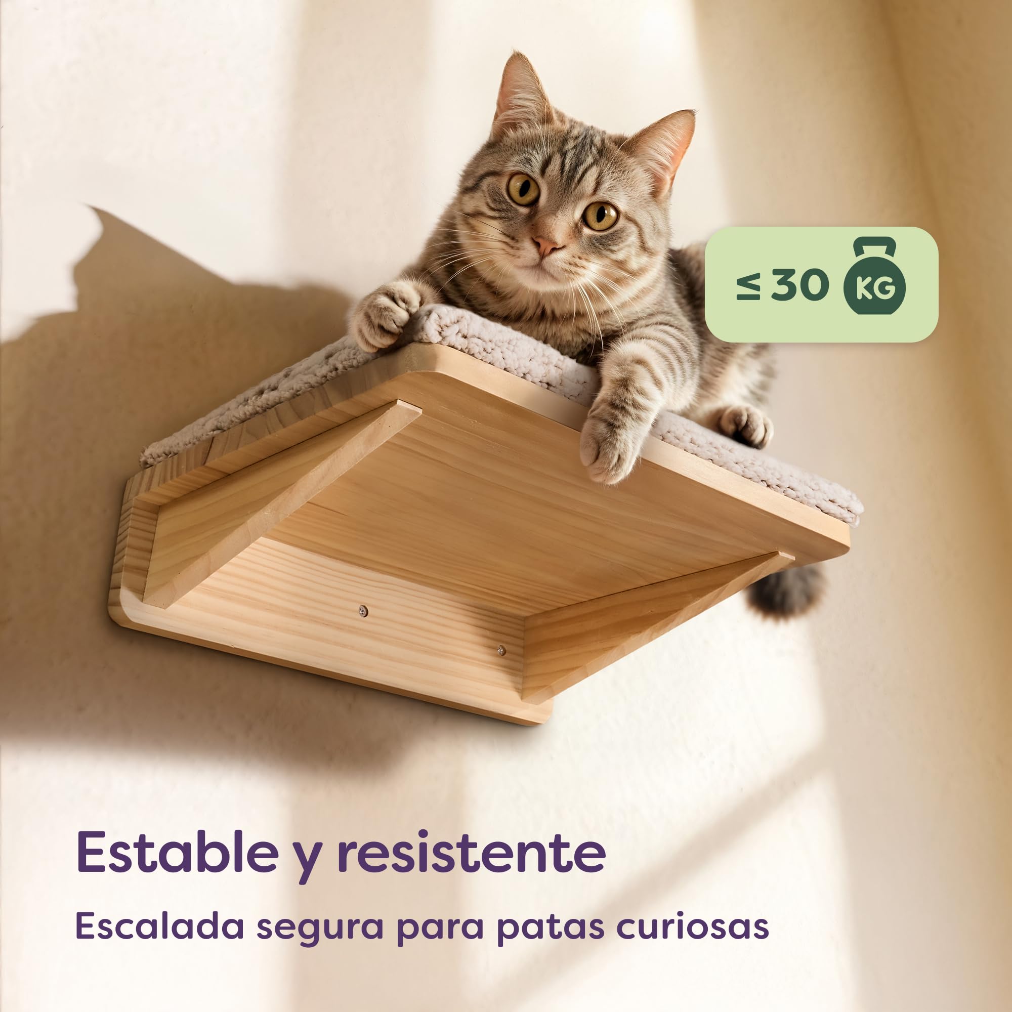 Knupis Estantes de Pared para Gatos con Cama & 2X Escaleras – Madera de Pino Maciza FSC®, Hamaca de Pared Resistente hasta 30 kg – para Juego & Comodidad - Beige