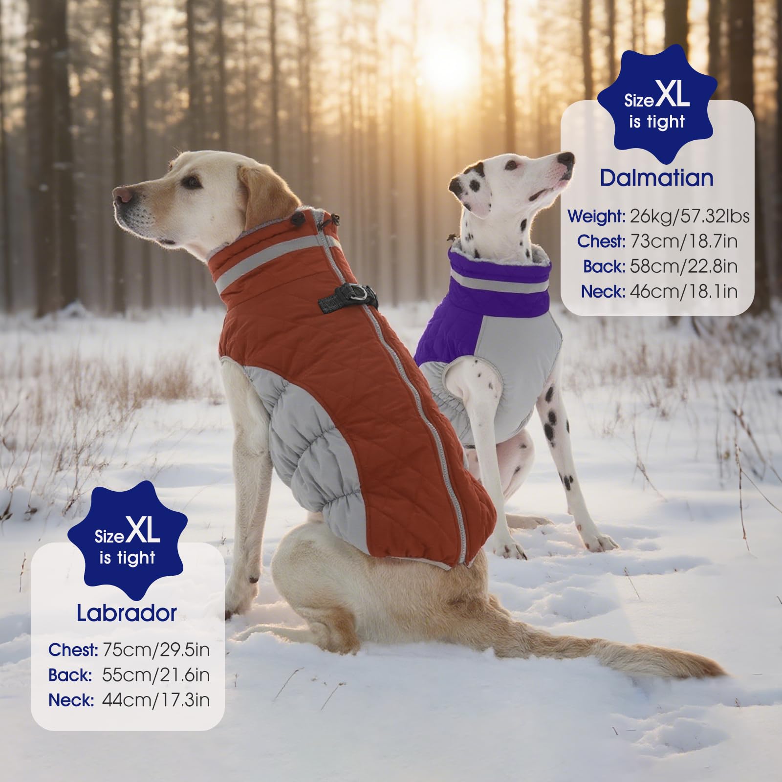 FUAMEY Chaleco acolchado para perro – Abrigo reflectante de invierno para perro, resistente al viento, chaqueta de invierno, cómoda ropa de perro para clima frío – Chaleco a prueba de nieve para