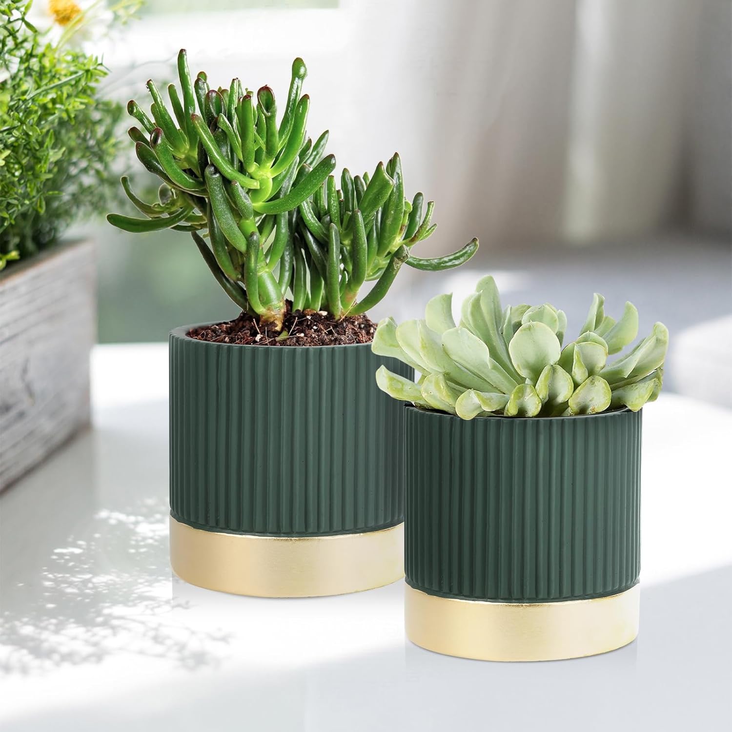 Set of 3 Cement Planter Pots with Drainage Hole,4 inch Plant Pots for Plants Indoor Houseplants,Succulent Pots Windowsil Planter (Green&Gold)