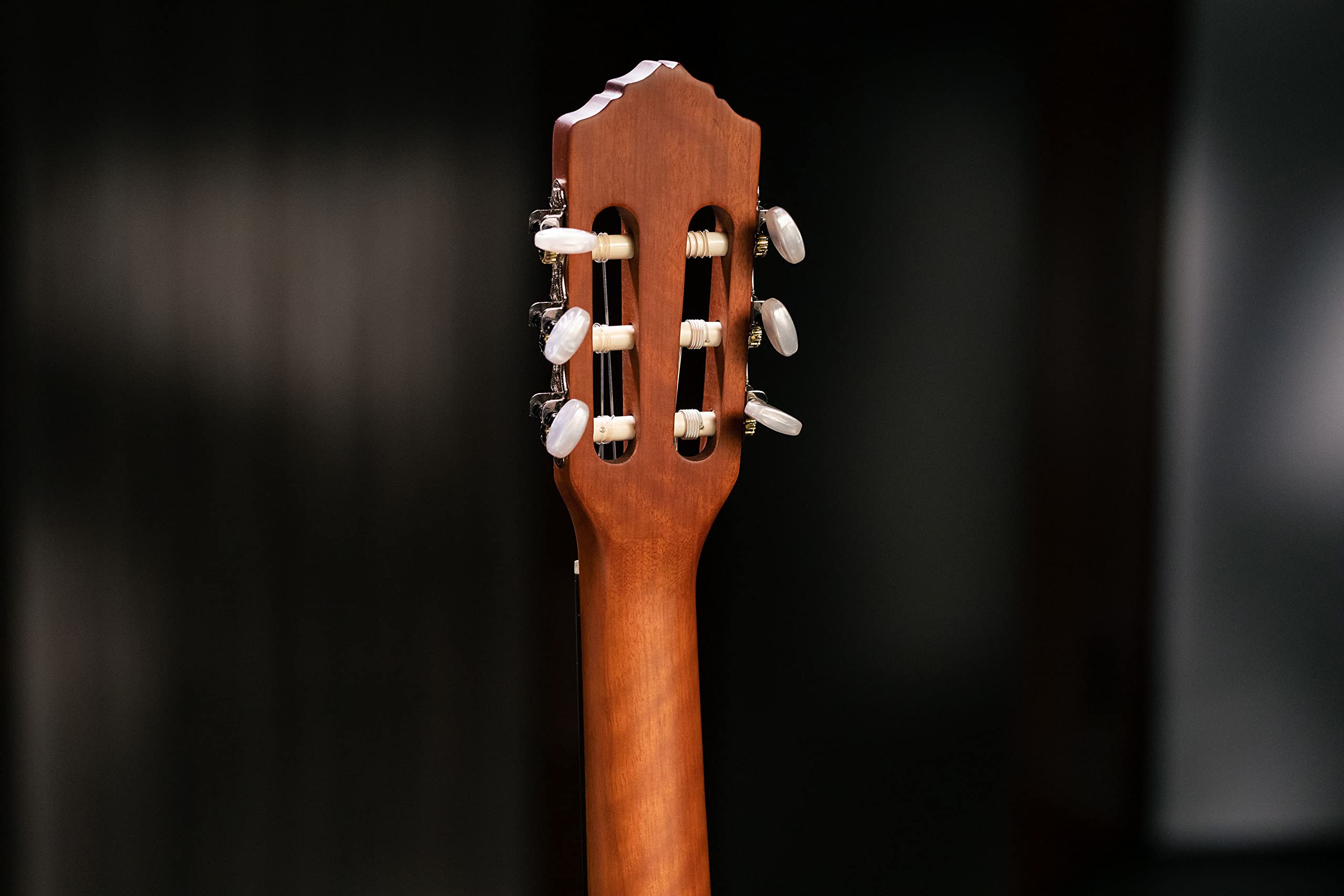 Ortega Guitars Chitarra Concerto Slim Neck Full Size - Serie Family - include Gig Bag - top in mogano/abete (R121SN)