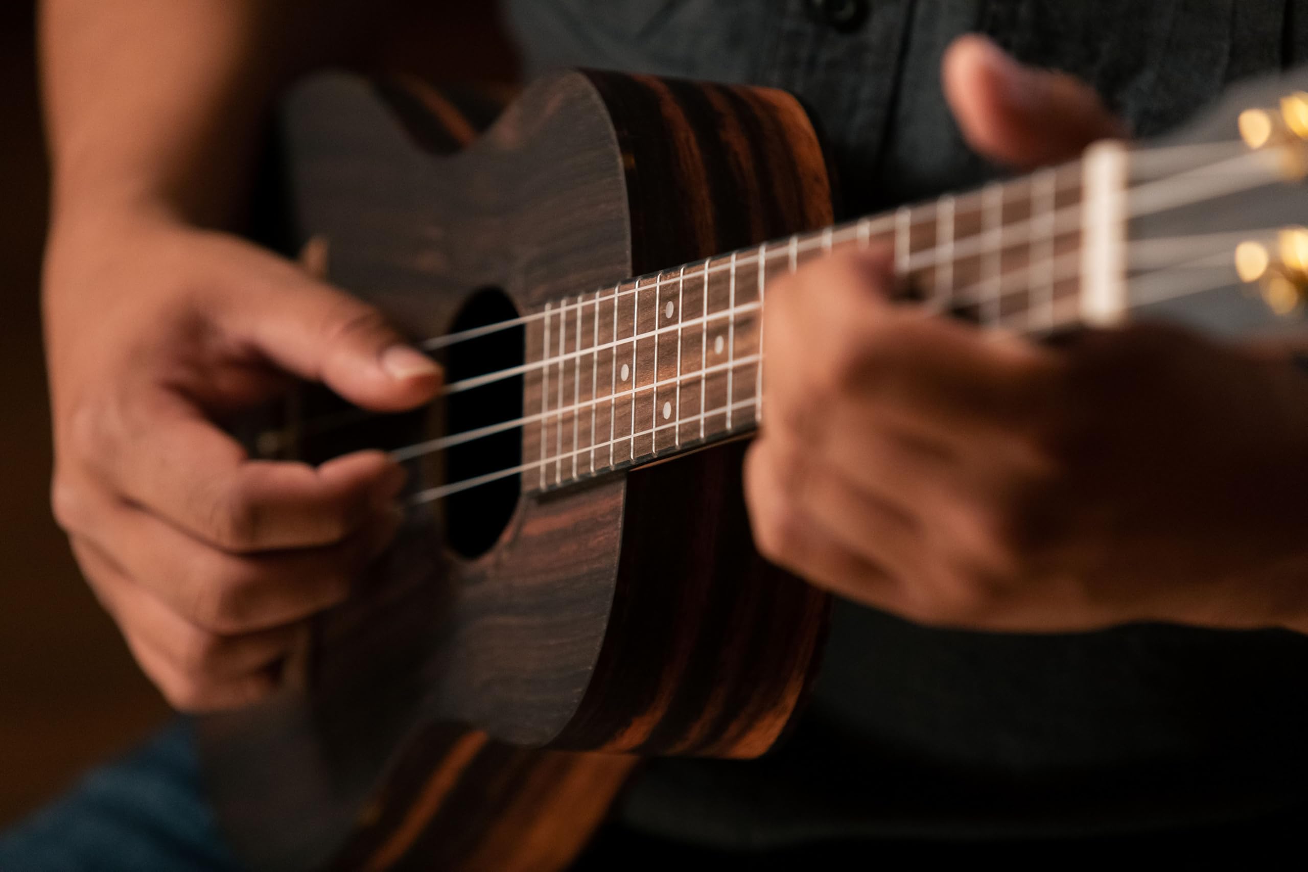 Ortega Guitars Ukulele Tenore Acustico – Timber Series – Gig Bag Inclusa – Ebano, Natural (RUEB-TE)