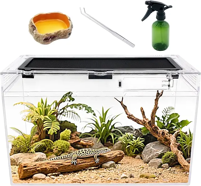Reptile Terrarium Kit - 16x8x10 Inch Vivarium with Top Screen Ventilation