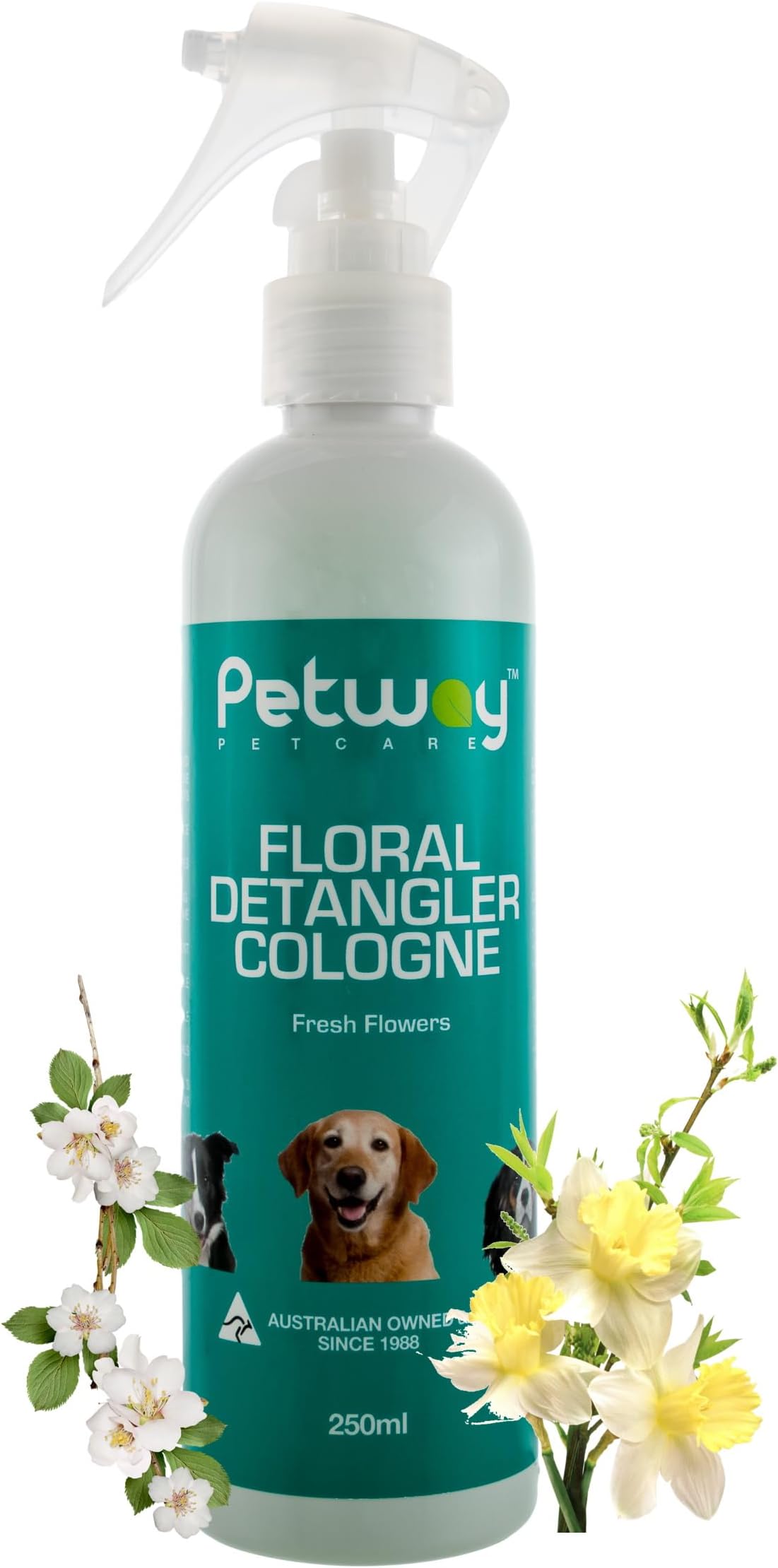 PETWAY Petcare Floral Detangler Cologne - Pet Cologne, Detangling and Dematting Spray with Deodorizing and Conditioning Qualities - Dog Grooming Detangler Conditioner Spray - 500ml