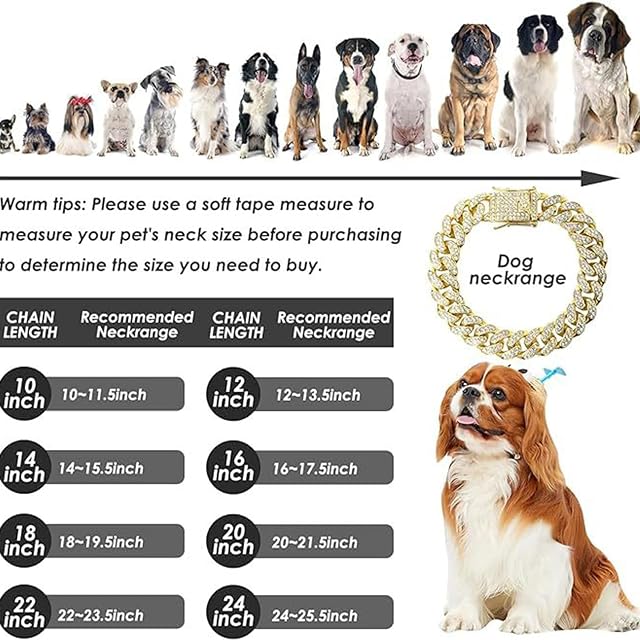 Foto 5 de 8 de Povanjer Collar para Perro con Diamantes de imitación,Collar para Perro con Brillo