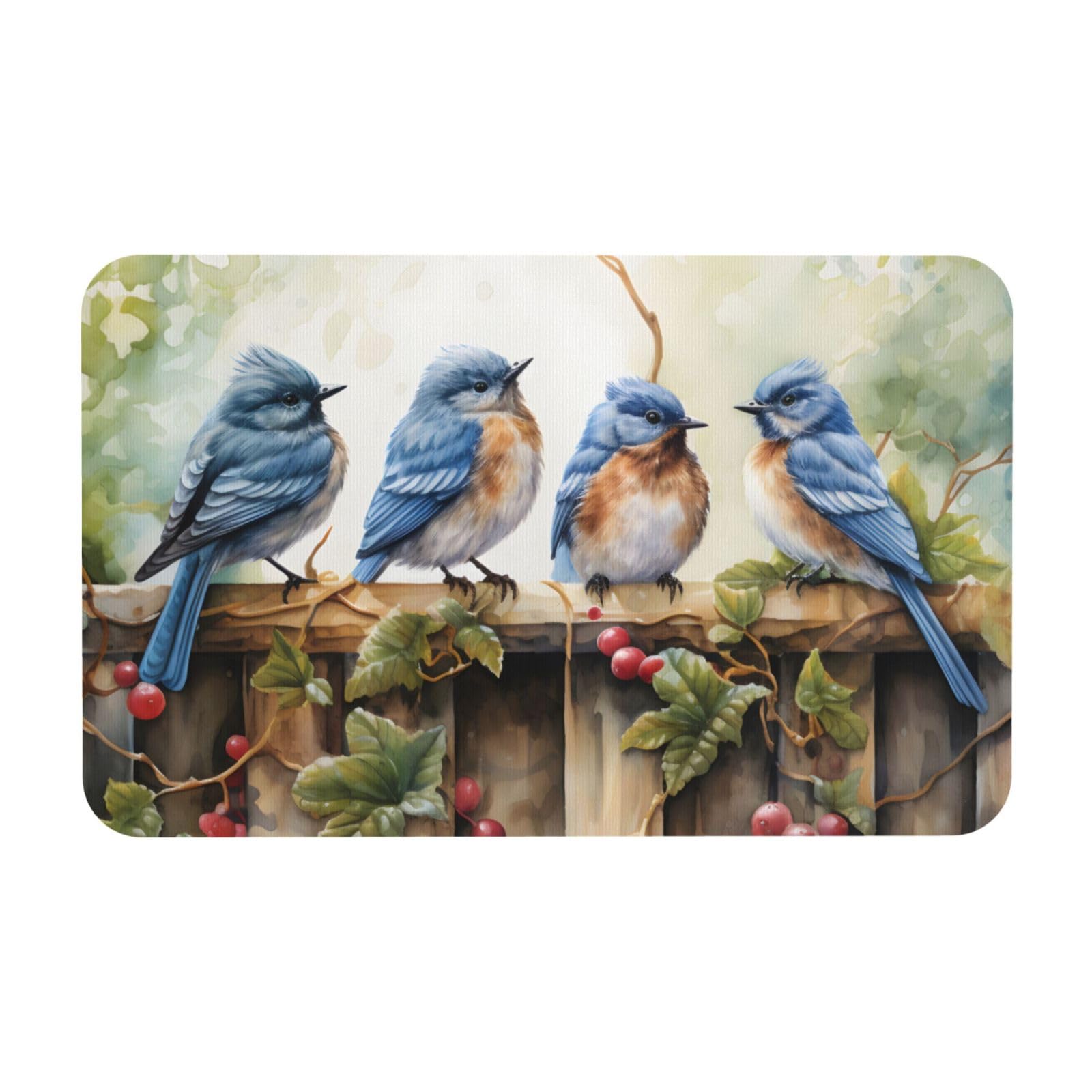 Mexpekil Birds on Board Door Mat Indoor Outdoor 50x80 cm Non Slip Bath Mat Absorbent Dirt Trapper Entrance Welcome Mat Washable Floor Rugs for Kitchen Bathroom Bedroom