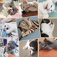 Vista 7 de 10 palitos de hierba gatera para gatos, palitos naturales de matatabi Silvervine – Limpieza de dientes molares, juguete masticable para gatitos