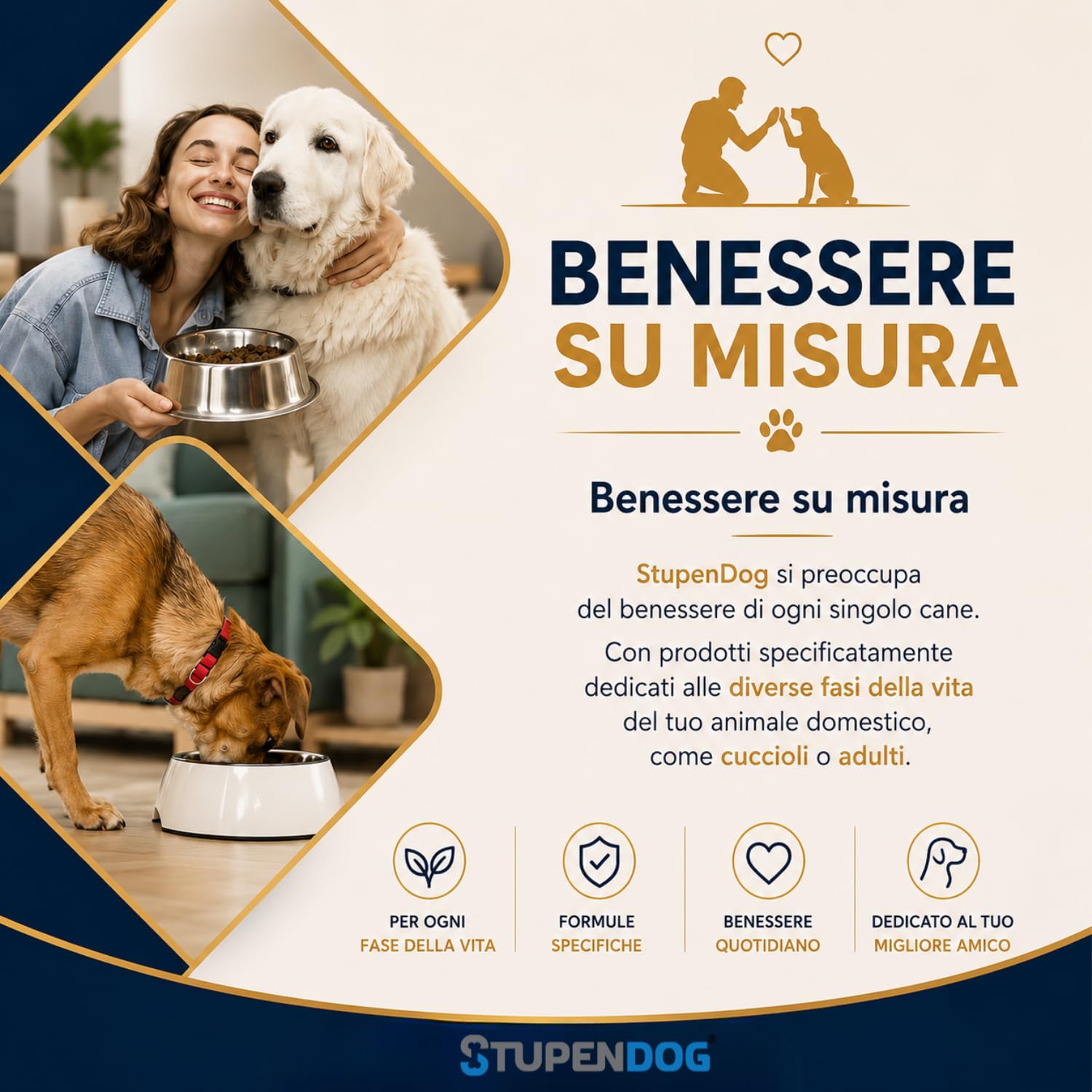 STUPENDOG Paté per Cani Monoproteico al Salmone con Semi di Lino - 98,5% Salmone Fresco, Ipoallergenico, Pelo Lucido, Pelle Sana – Cibo Umido Naturale per Cane Adulto (12 Confezioni - 400g)