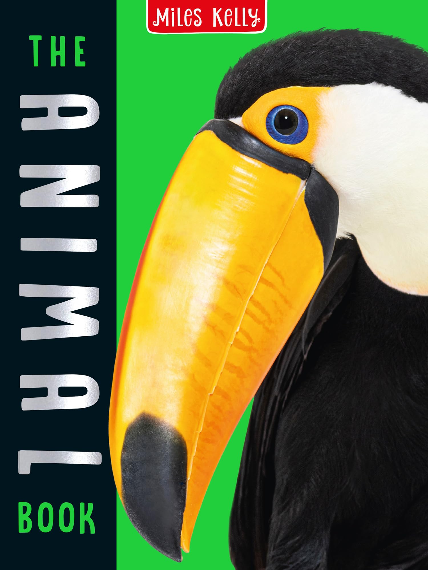The Animal Book: 160 Pages Packed Full of Amazing Photos and Fantastic Facts