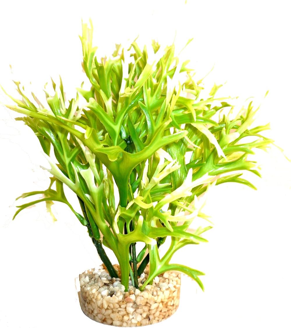 SydecoAqua Aquarium Fern Plant Height 19 cm Green