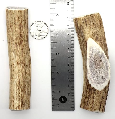 Paws-N-Stuff Elk Antler Premium - Masticable para perros, pequeño dividido, paquete de 2