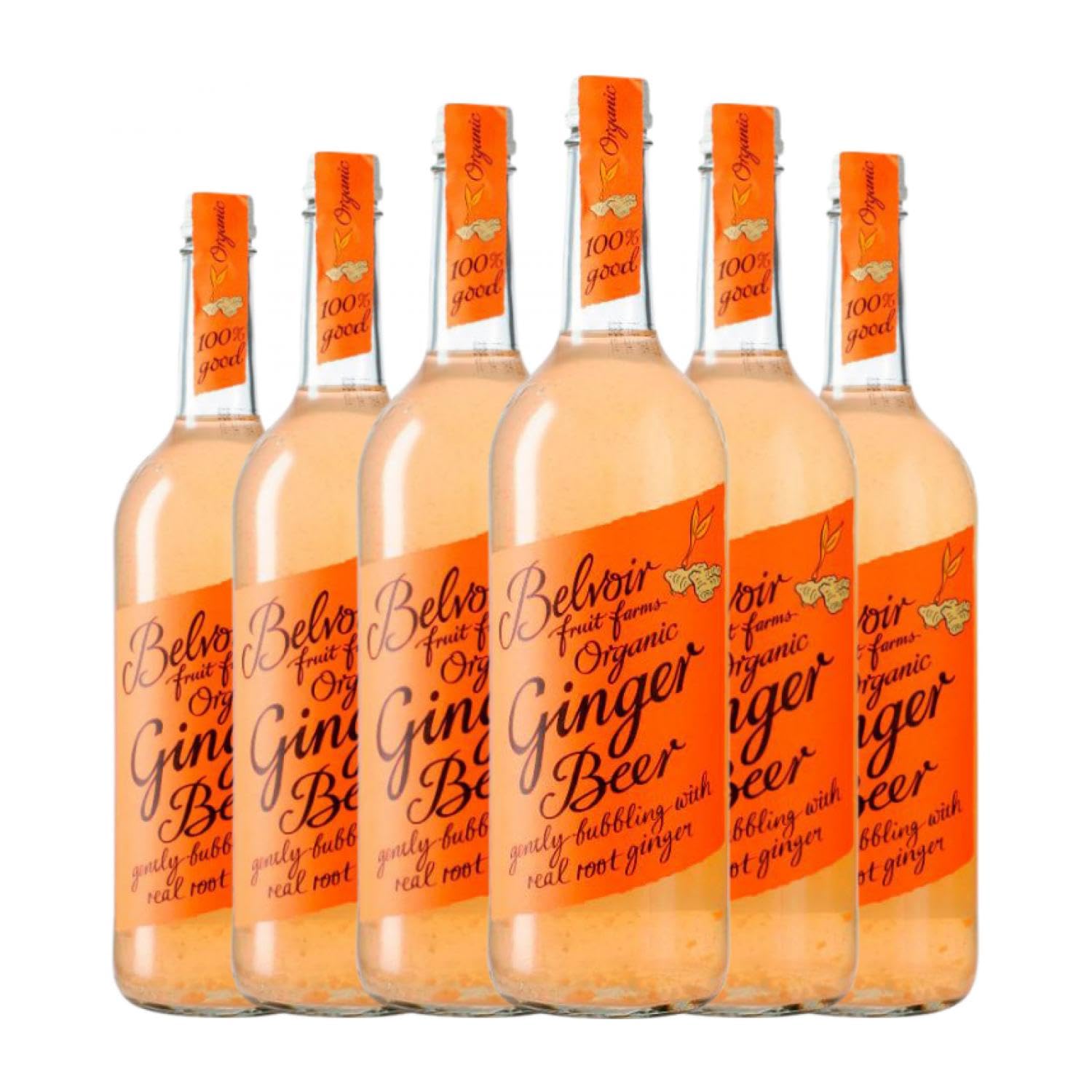 Refrescos y Mixers Belvoir Ginger Beer Organic 75 cl (Caja de 6 Botellas de 75 cl)