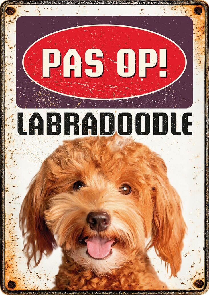 Plenty Gifts metallschild personalisiert - Labradoodle - dekoratives Hundeschild - niederländische Ausführung - 14,8x21cm