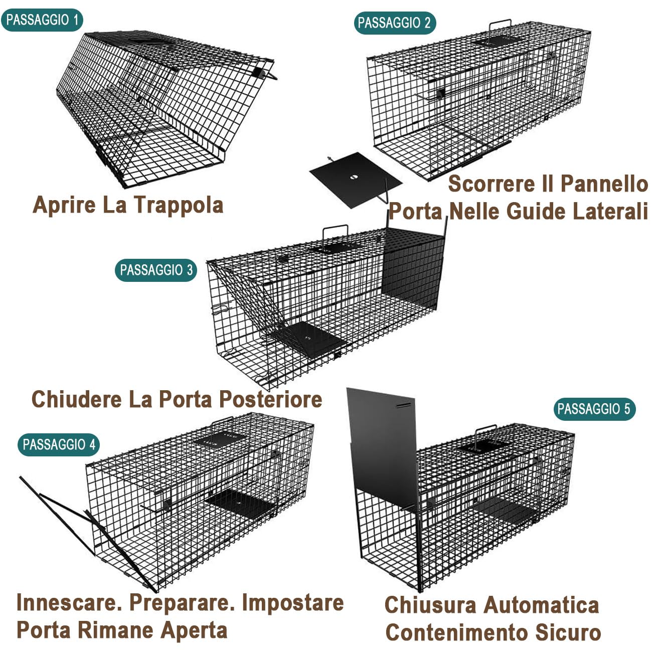 Amagabeli Trappola per topi Animali vivi Gabbia grandi dimensioni per la cattura di topi arvicole criceti ecc in ambienti interni ed esterni Ingressi con Sportello A Caduta