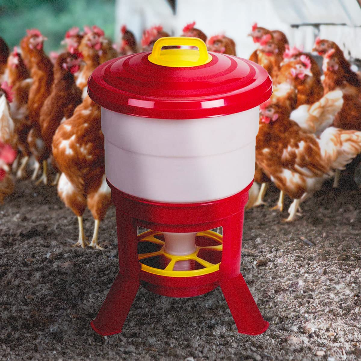 Tolva Gallinas SILO Premium 40 L - Comedero Grande con Patas para Aves de Corral - Tolva de Gran Capacidad para Gallinas, Fabricada en plástico Resistente