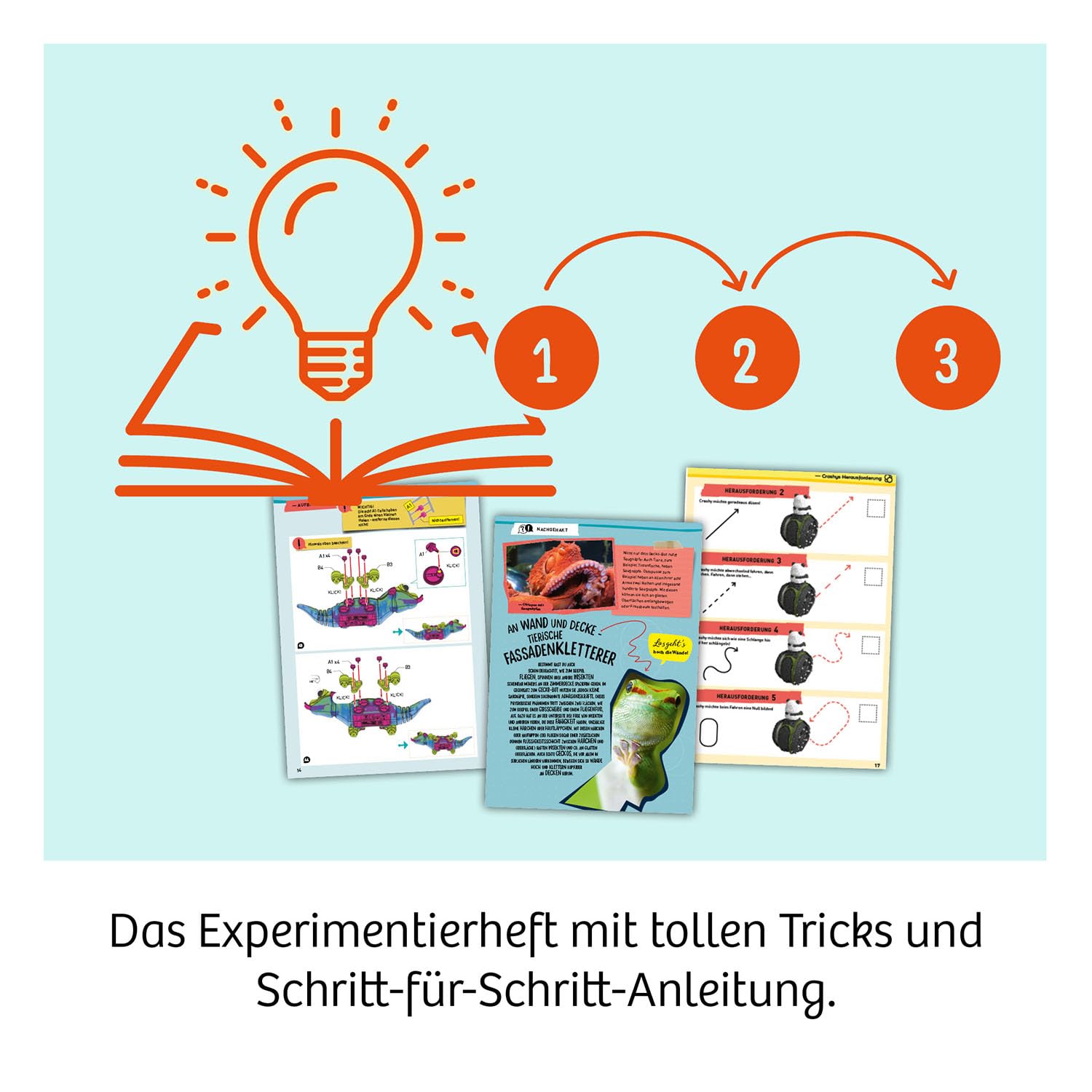 KOSMOS Crashy, der niedliche Robo-Panda auf Kollisions-Kurs, für Kinder ab 6 Jahre, Roboter Spielzeug, Bausatz, Experimentierkasten, Bauen, Programmieren, Spielen 621346
