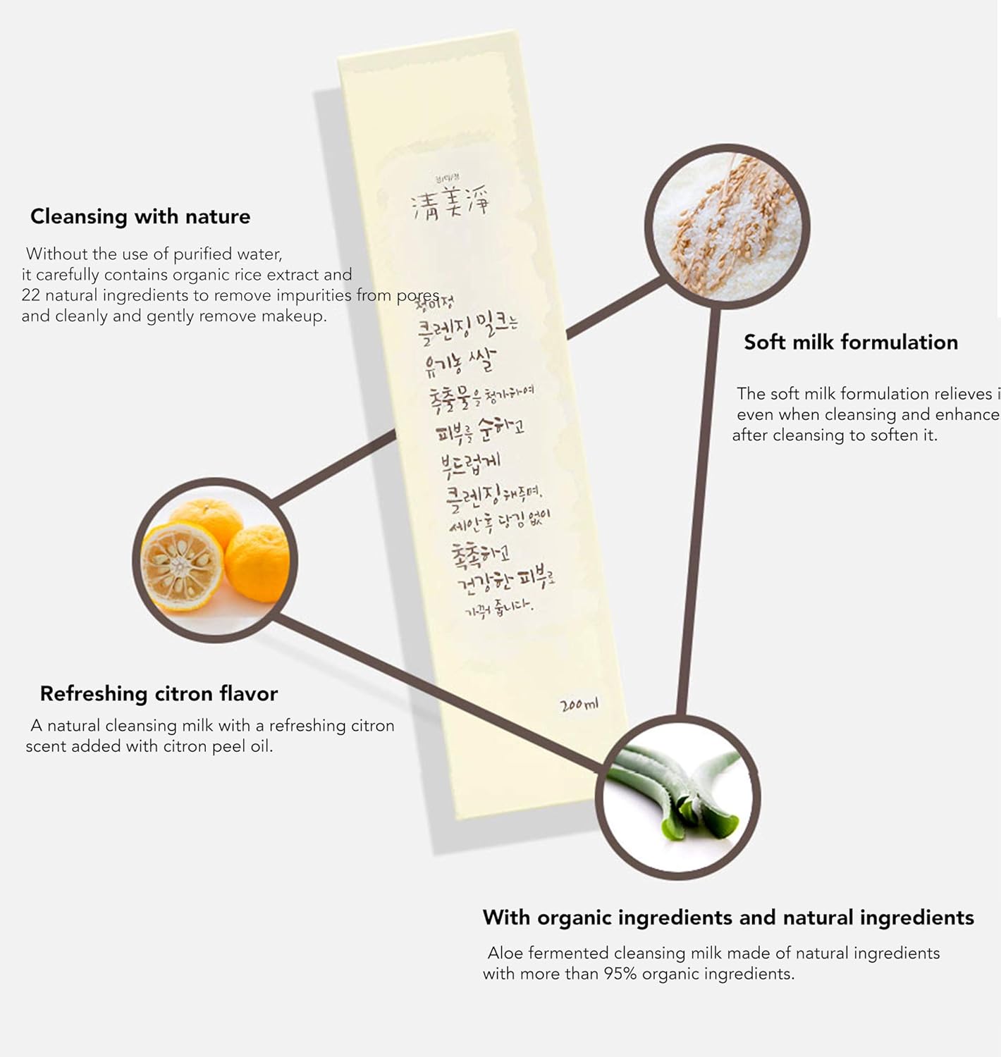 Aloe Fermented Cleansing Milk cleanser