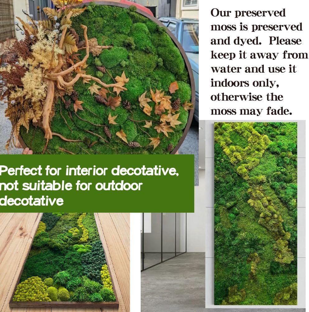 2 sq.ft Preserved Moss for Wall Decor Table Decor for DIY Bowl (ForestGreen -2.0sq.ft)