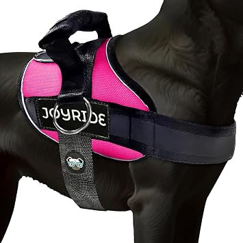 Joyride Harness 2.0 - The Original Side Ring No Pull Dog Harness - No Choke, Escape Proof, Reflective, 3 Leash Clips, Quick Fit Pet Vest - Easy Walks & Training - for Small, Medium & Large Dogs