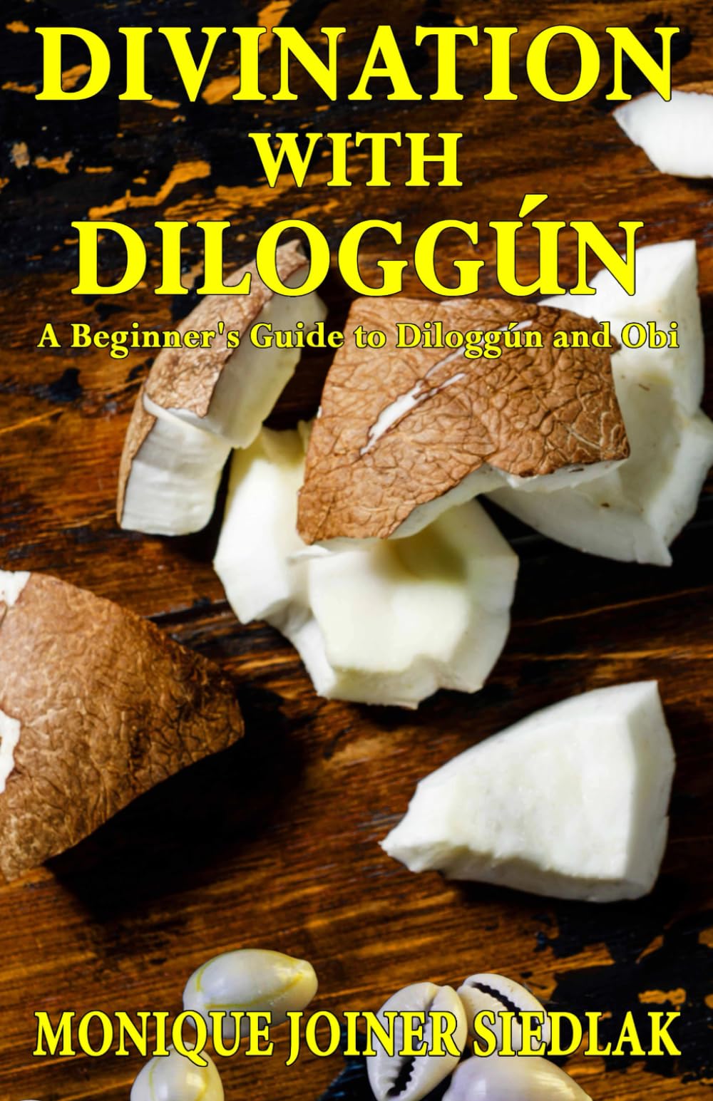 Divination with Diloggún: A Beginner's Guide to Diloggún and Obi: 2 (Divination Magic for Beginners)