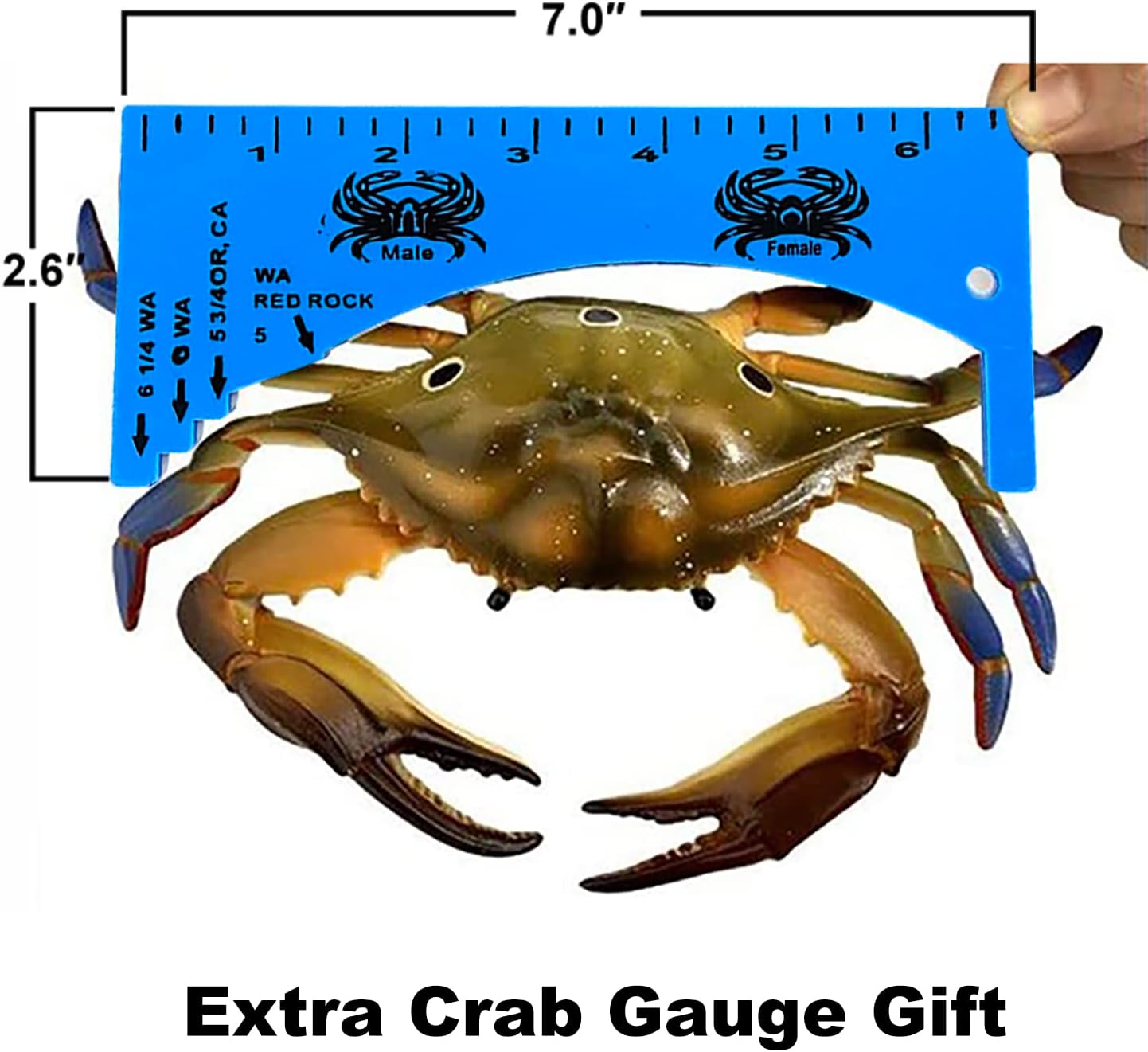 Palmyth Castable Crab Trap Hawk Foldable Crabjaw with Crab Gauge and Bait Clip