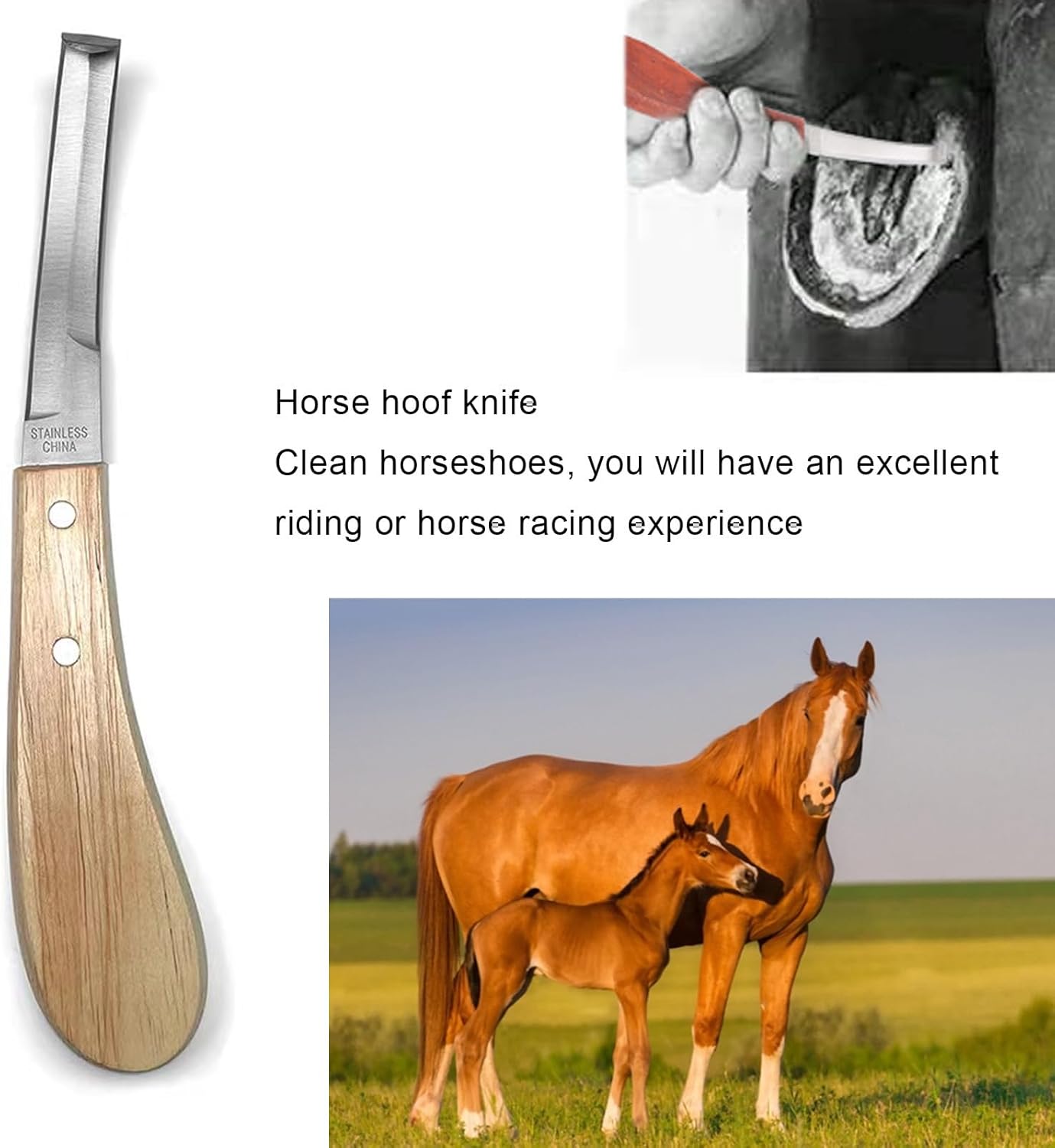 14 inch Farrier Tools,Professional Farrier Tool Kits Horses Hoof Trimmers Tools Suitable for Hoof Trimming for Horses Cows, Sheep, Donkeys and Other Medium Sized Animals Rasp Hoof Cutter Set