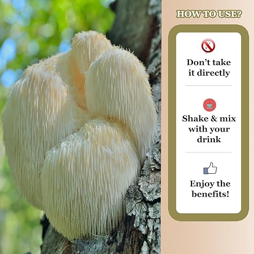 Miniatura 5 de JINGYAT Gotas líquidas de complejo de hongos, suplemento de hongo melena de león, suplemento de hierbas 10 en 1, tintura de melena de león orgánica,