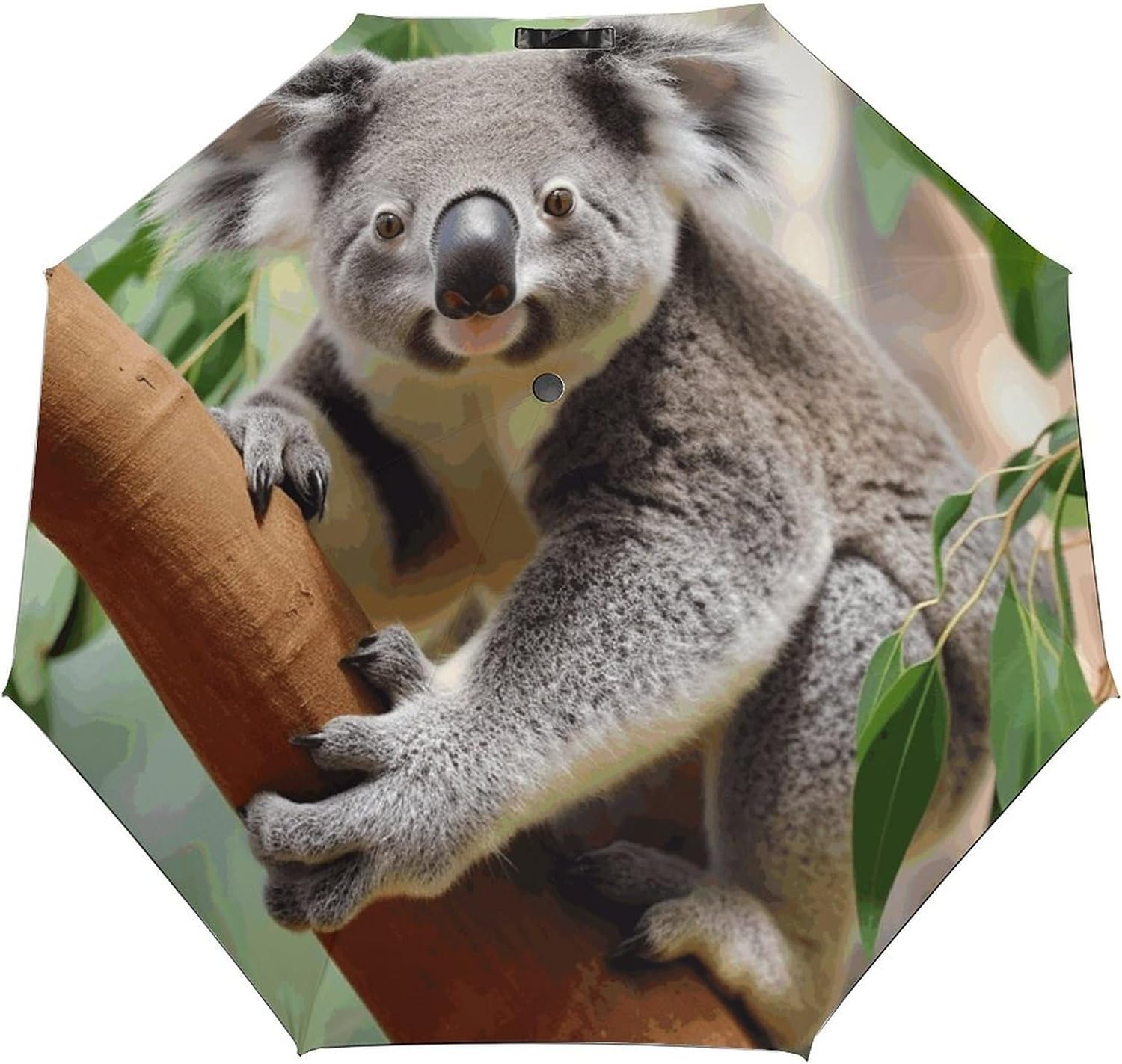 Folding Small Sun Umbrella Cute Koala Windproof Travel Umbrella Lightweight Small And Compact Suit for Pocket