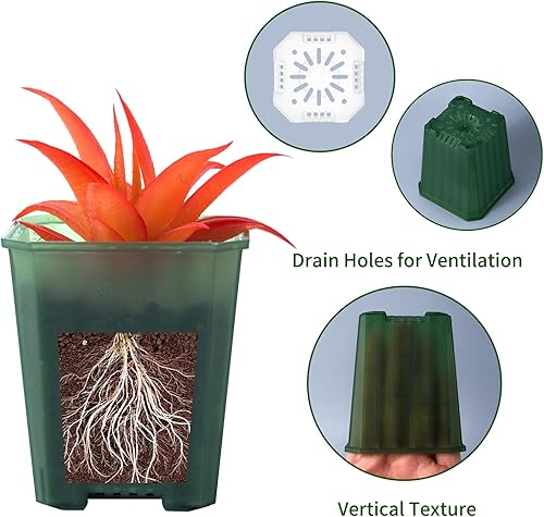 Miniatura 3 de foxany Macetas verdes transparentes de 3 pulgadas, 30 macetas de plástico grueso, macetas cuadradas para plantar flores, paquete variado, macetas de