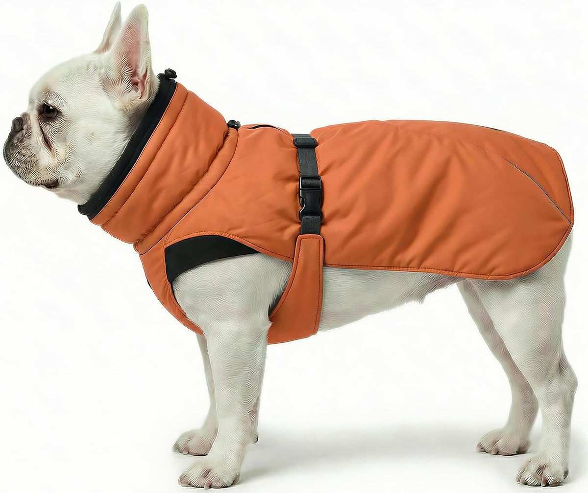 Dog Winter Puffer Coat, Water-Repellent (Aurantium, Small)