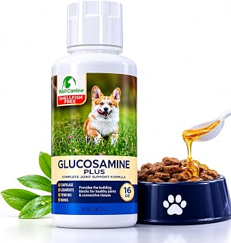 ENP Liquid Gucosamine for Dogs K9 Hip and Joint Supplement Dogs Liquid Formulated with Chondroitin, MSM, Turmeric Root and Antioxidants - for Flexibility & Mobility, All Breeds - USA M 16 fl oz