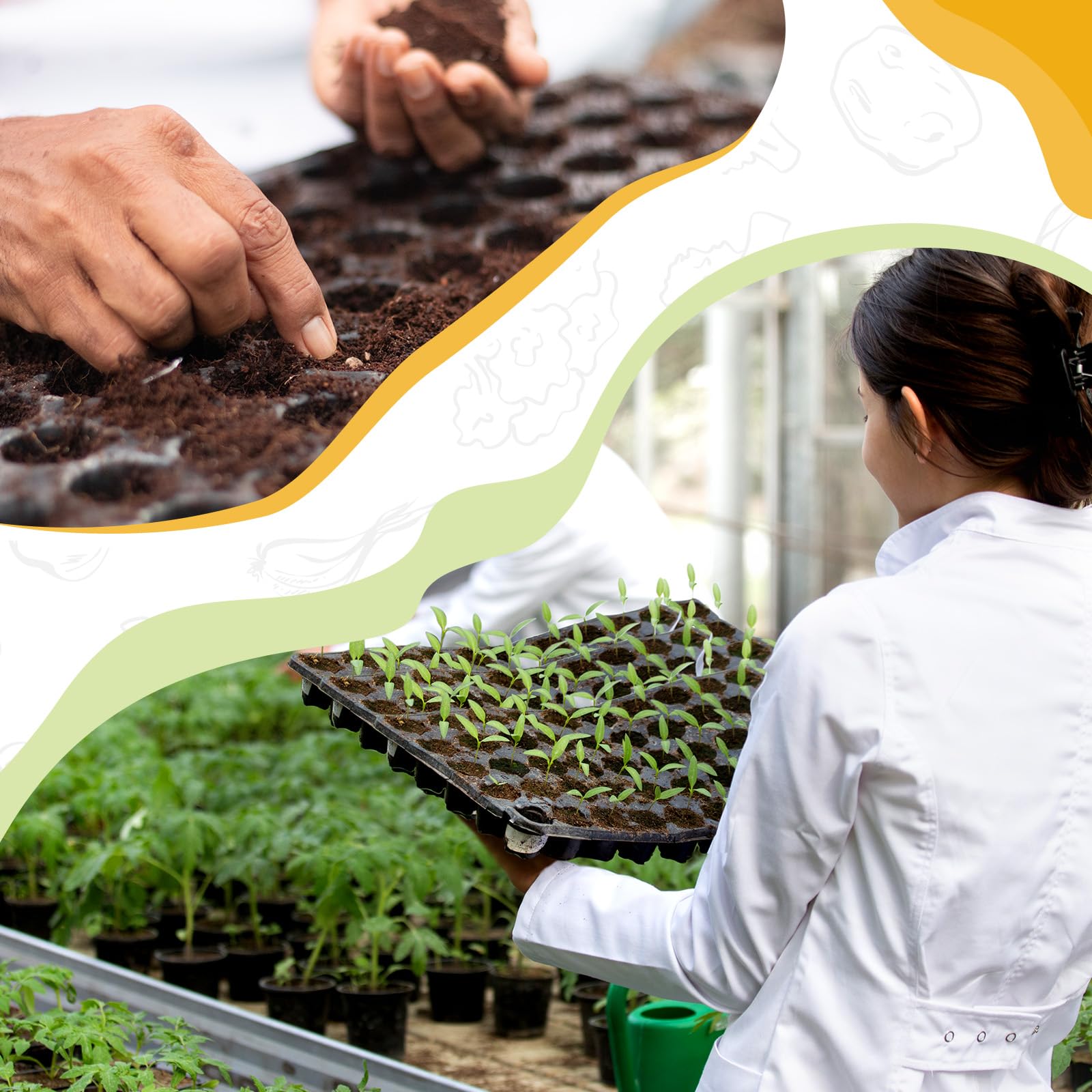 Yinder 20 bandejas de inicio de semillas de plantas, 1020 bandejas sin agujeros y bandejas de tapón de células con 100 etiquetas, bandejas de cultivo para vivero, germinación, hierba de trigo