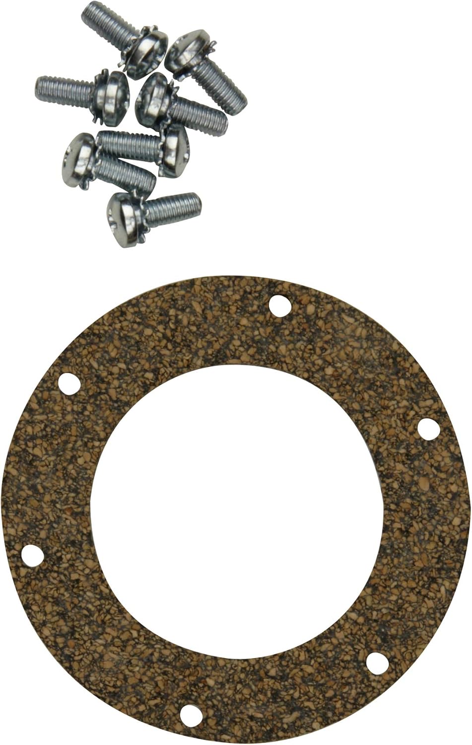 Spectra Premium Classic Fuel Tank W/Fn F31B