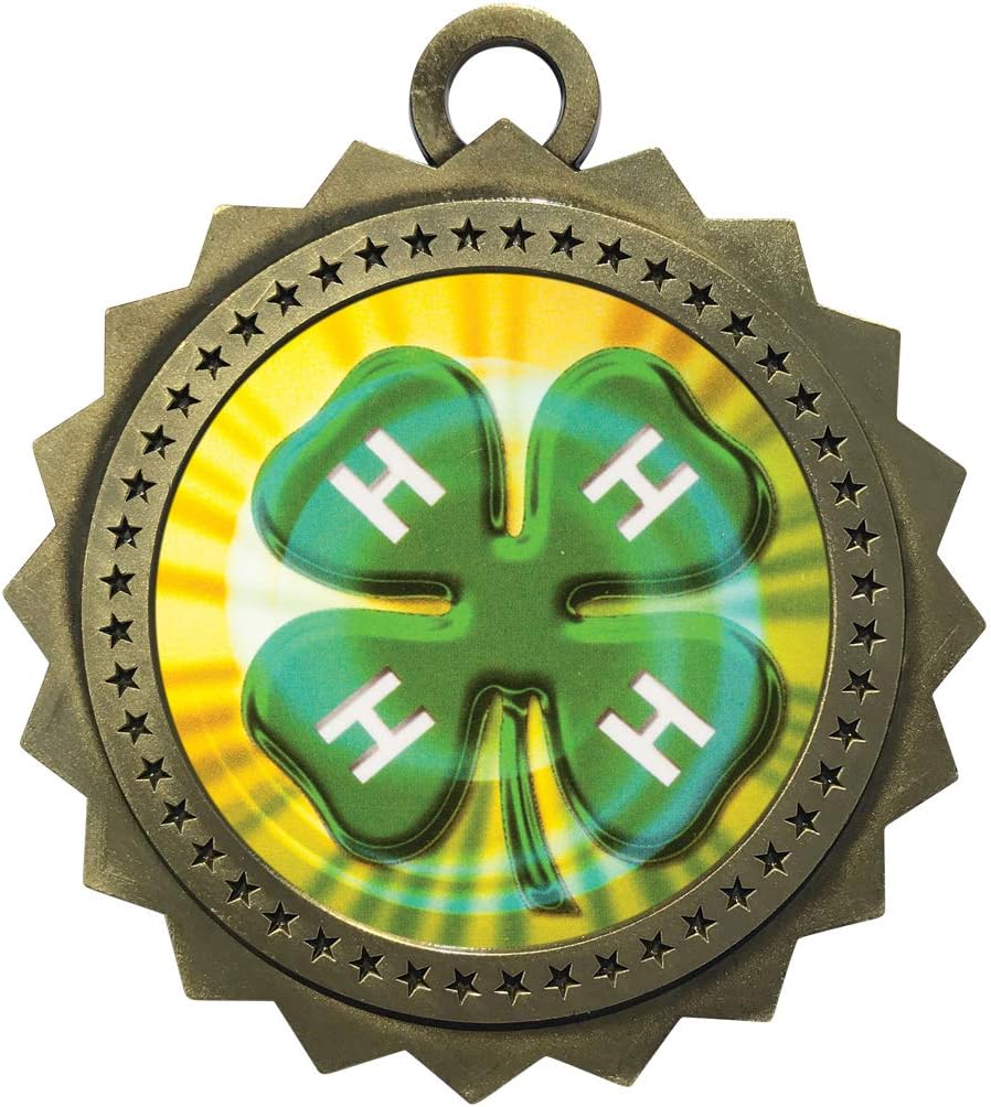 Express Medals Various 10 Pack Styles of 4H Award Medals with Neck Ribbons Trophy Award Prize Gift