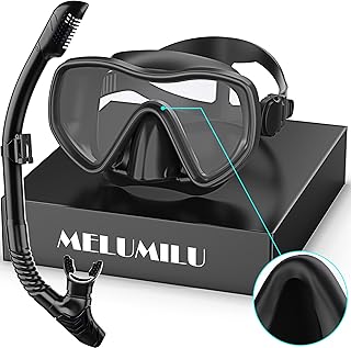 Snorkeling Gear for Adults, Dry Snorkel Set 180° Panoramic Wide View Anti-Fog Scuba Diving Mask, Professional Snorkel Gear for Free Breathing, Swimming, Diving, Nose Upgrade 2.0
