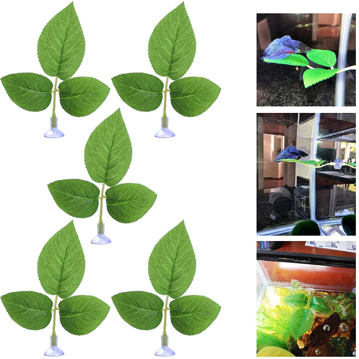 5 Pack Betta Fish Rest Accessories Leaf Hammock Fish Bed Leaf Pad Beta Fish Cup Fish Spawning Grounds Breeding Plant Bed for Tank Aquarium