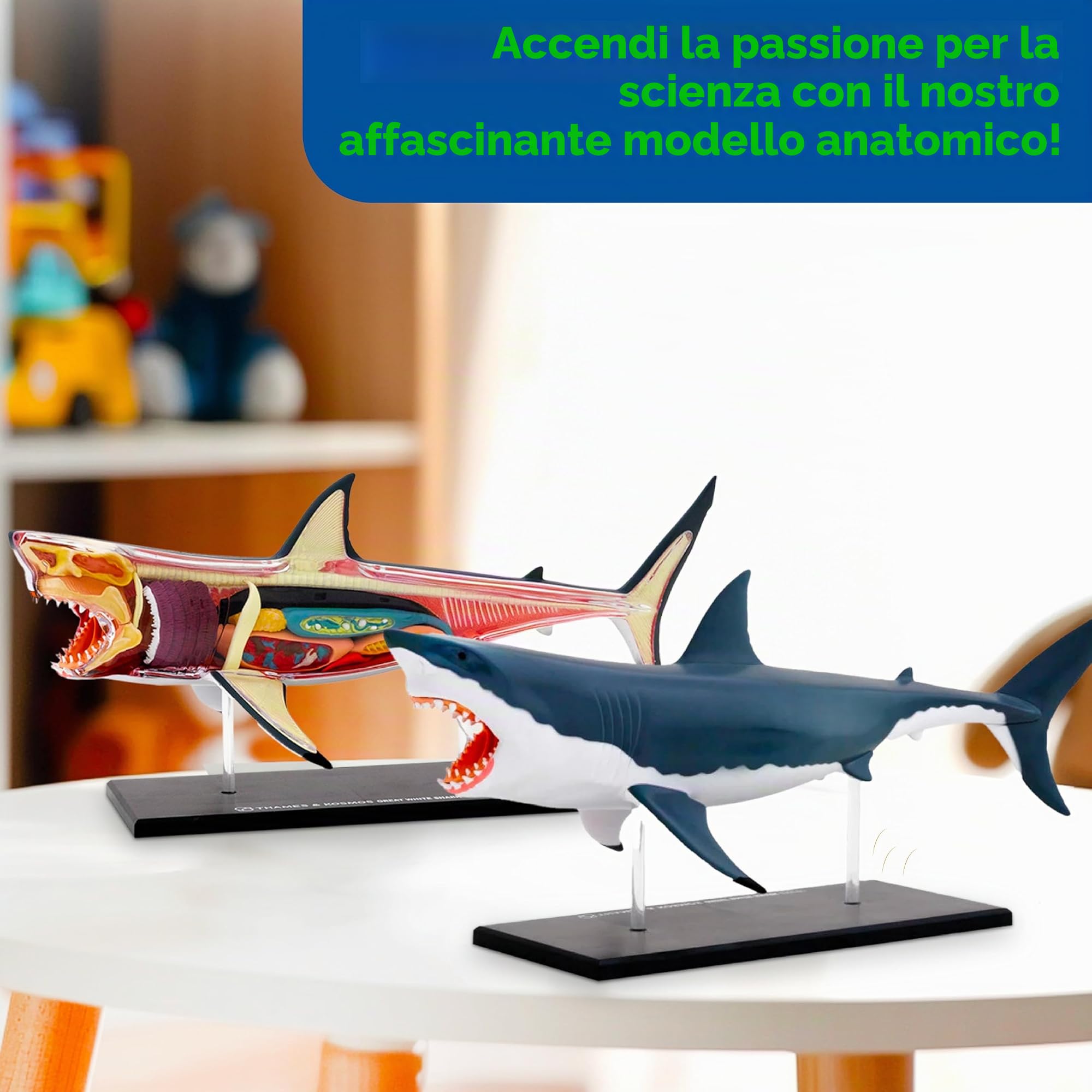 Thames & Kosmos , 261110 , Great White Shark Anatomy Model , 20 Parts with Stand and Illustrated Guide Book , Nature Discovery Range , Detachable Parts , 3D Models , Ages 8+