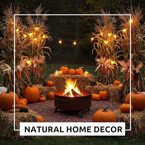 Miniatura 3 de Paquete de tallos de maíz seco para decoración o exhibición, 5 pies de alto, Shucks de maíz con orejas adheridas, sin California (12 tallos)