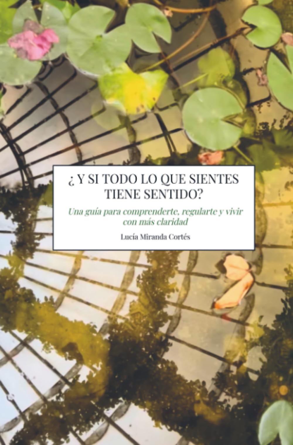 ¿Y si todo lo que sientes tiene sentido?: Una guía para comprenderte, regularte y vivir con más claridad