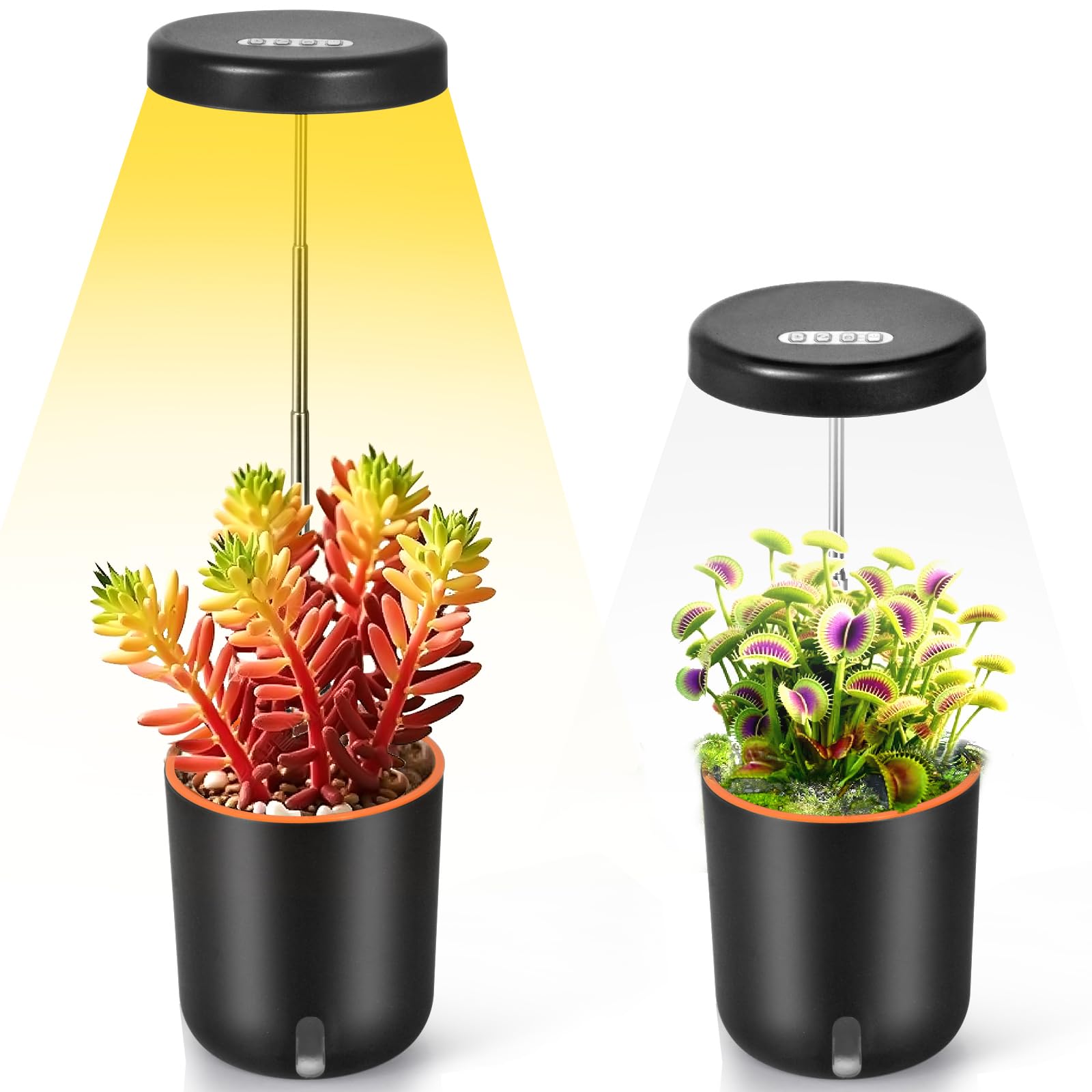 Mini luz de crecimiento de espectro completo con maceta de riego automático, maceta de escritorio de altura ajustable para violeta africana, trampa de moscas Venus, suculentas, plantas pequeñas