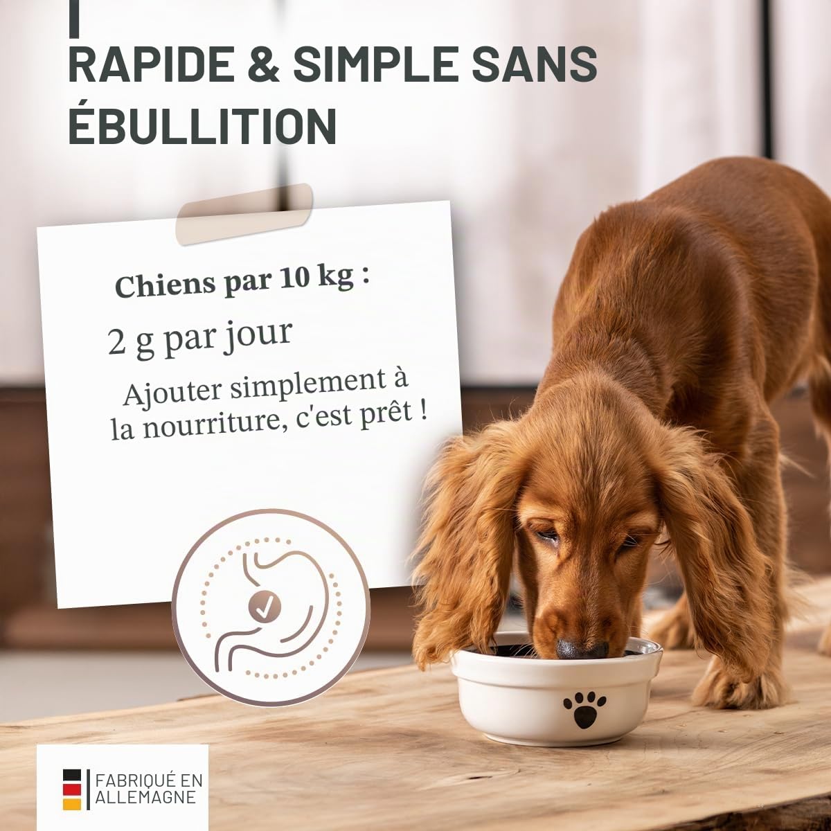ReaVET Poudre d'estomac de qualité supérieure pour chiens - 300 g - Poudre de garniture alimentaire gastrique et intestinale avec écorce d'orme Slippery Elm Bark sans ébullition I Favorise la