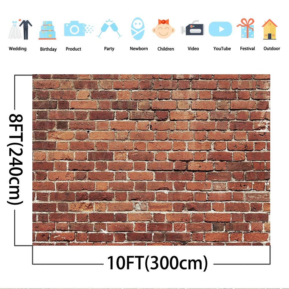 Softbox Lanterna HAVOX SL-220XS - Luce Continua 220W, 5600K, Con Montatura Bowens, Per Studio Foto/Video - Foto 10