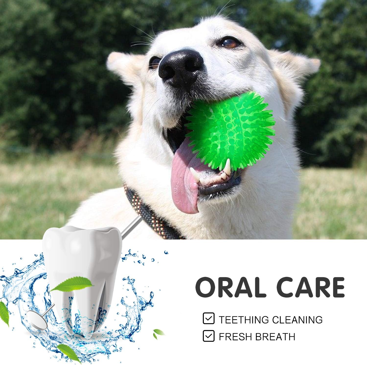 Pet Supplies : Squeaky Balls for Dogs Small, Fetch Balls for Dogs Rubber 6 Pack Bright Colors TPR Puppy Toys Dog Toy Balls Dog Squeaky Toys Spike Ball Dog Chew Toys for Small (Set of 3, Multi) : 