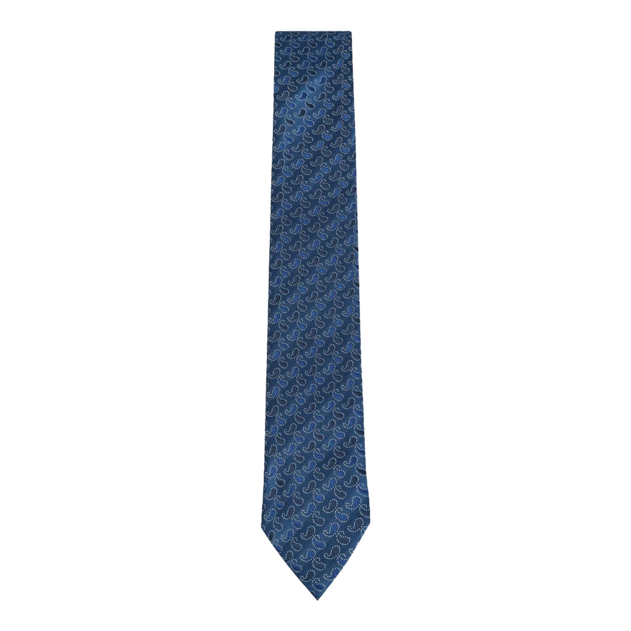 Men Blue Paisley Ties-image-7