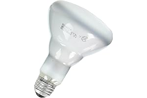 Sylvania BR30 65W Indoor Flood Light The Illumination You Seek