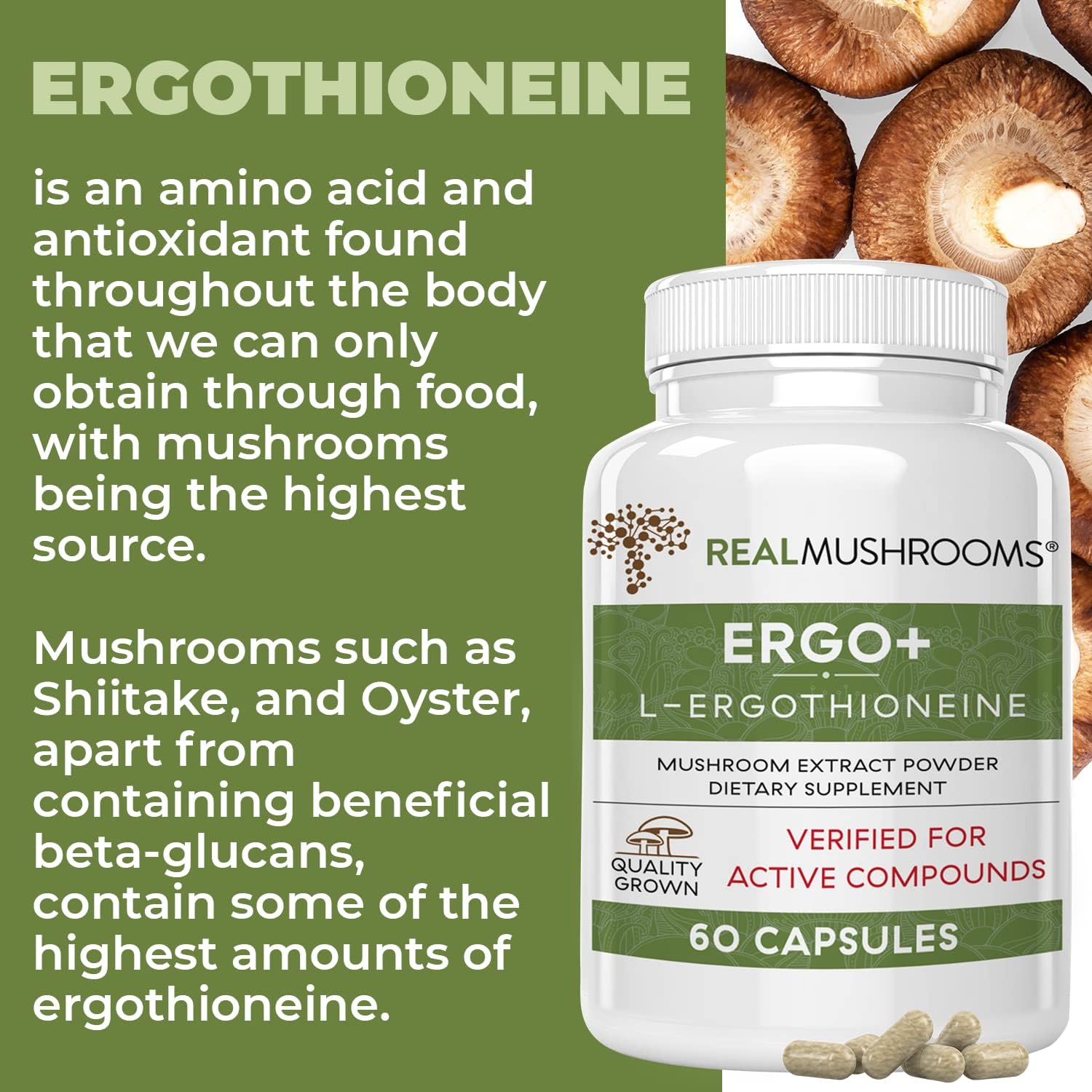 Buy Real Mushrooms LErgothioneine, Oyster, Shiitake Mushroom Extract