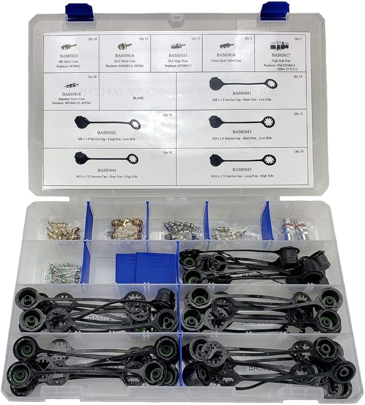 Kit sortido de núcleos de válvula e tampas para ar-condicionado R-1234yf Buy Auto Supply APC93029 – 112 peças