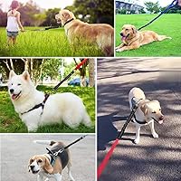 Vista 6 de Bungee Dog Leash Extension Attachment, 18” Shock Absorbing Lead Extension Absorber, Prevent Injury on Arm and Shoulder & Save Dogs from Getting